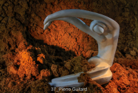 37_Pierre Guitard